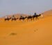 Caravana de camelos nas dunas do deserto do Saara em Merzouga, Marrocos